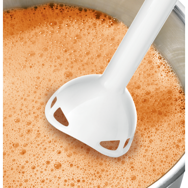 Bosch MSM66020GB, Hand blender