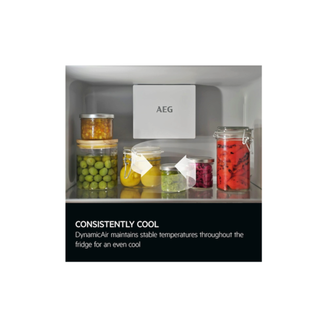AEG TK6DS181ES Built-In Larder Fridge
